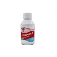 GUAYAPROFF JBE X 120 ML --LAPROFF